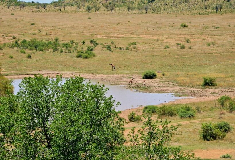 Отель Tshukudu Bush Lodge