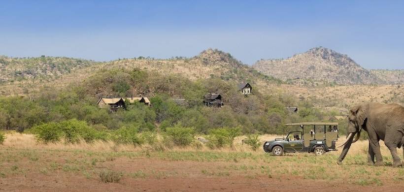 Отель Tshukudu Bush Lodge