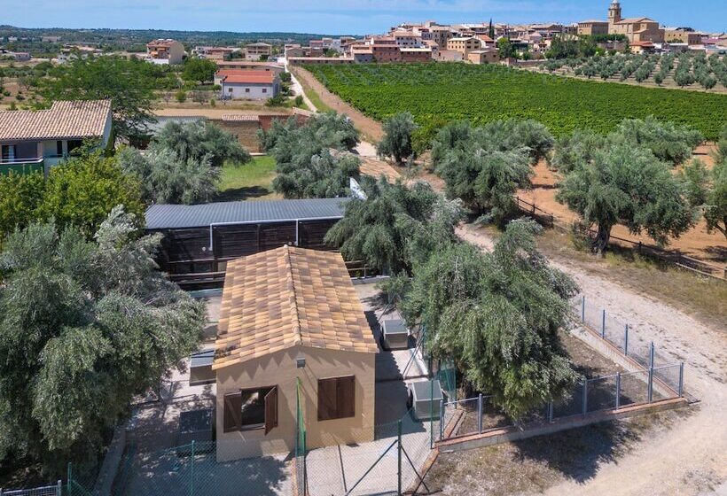 Vilar Rural D Arnes By Serhs Hotels