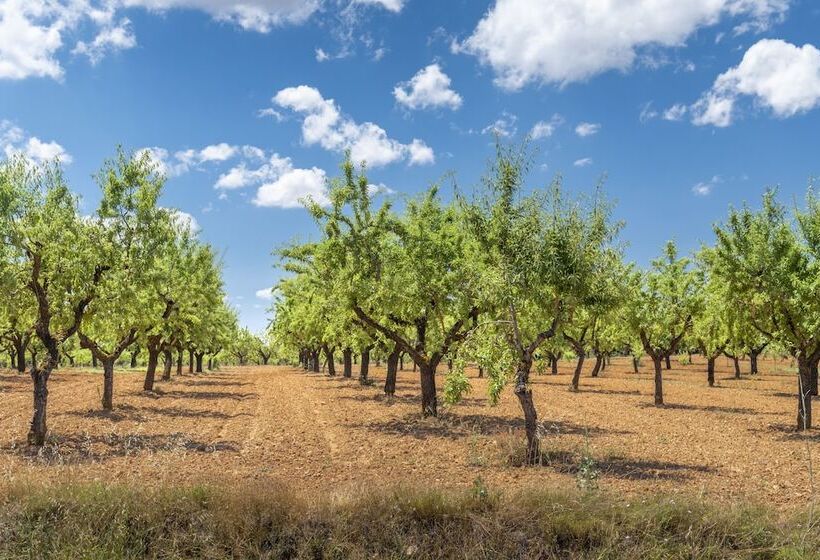 Vilar Rural D Arnes By Serhs Hotels