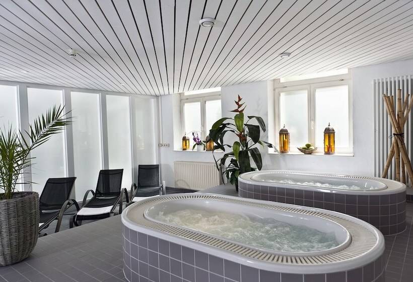 Отель Wyndham Garden Donaueschingen