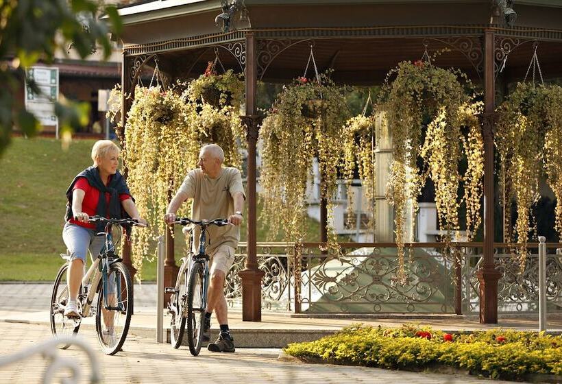 Izvir   Sava Hotels & Resorts