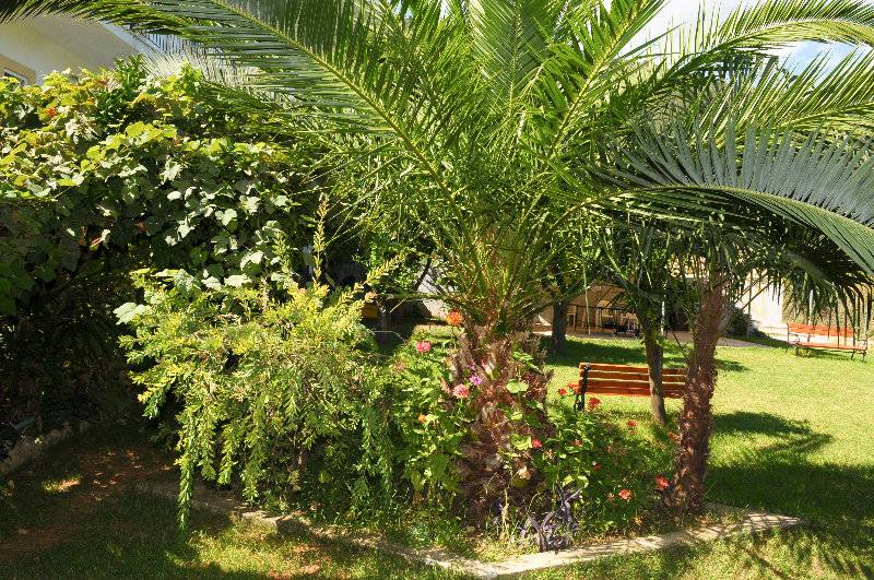 Konstantinos Apartments