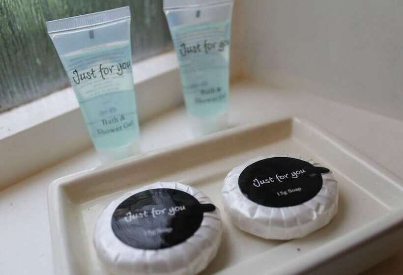 The Swan Motel, Gillingham