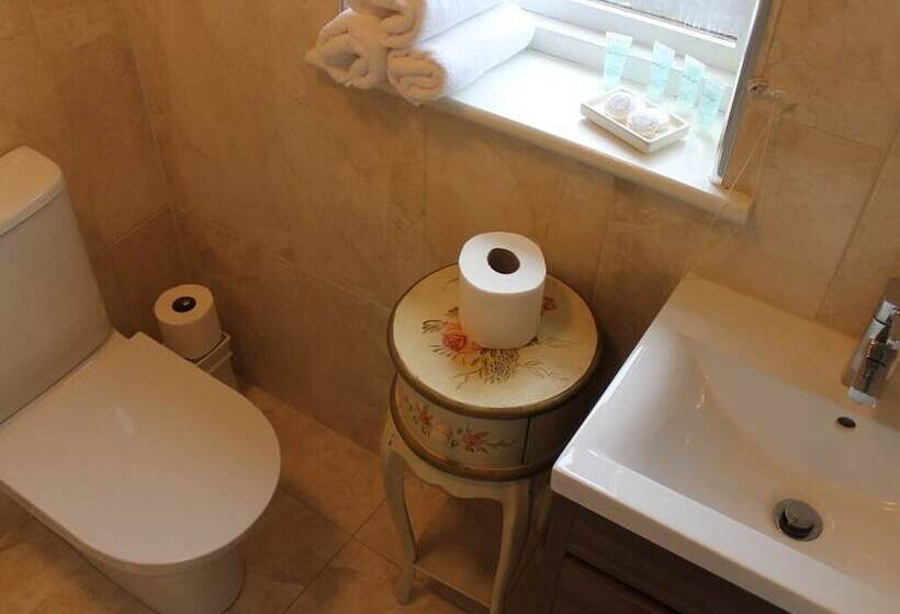 The Swan Motel, Gillingham