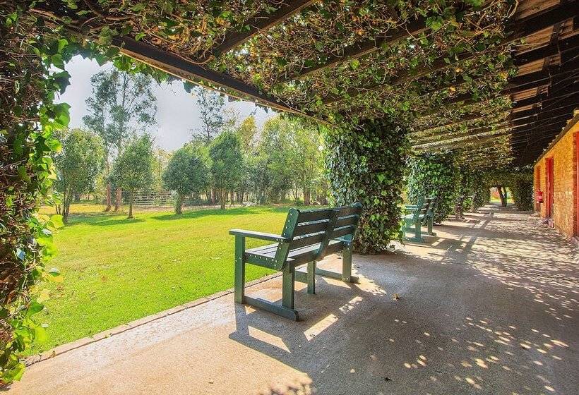 호텔 Airport Bird & Game Lodge