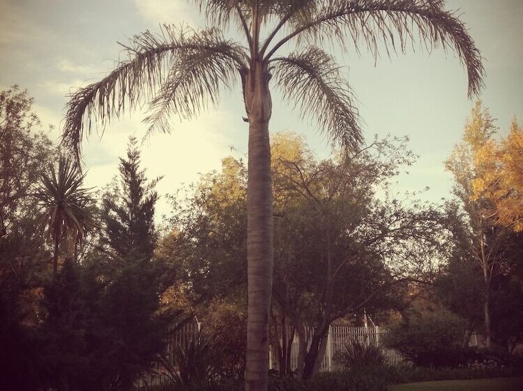 בית מלון כפרי Bayswater Lodge