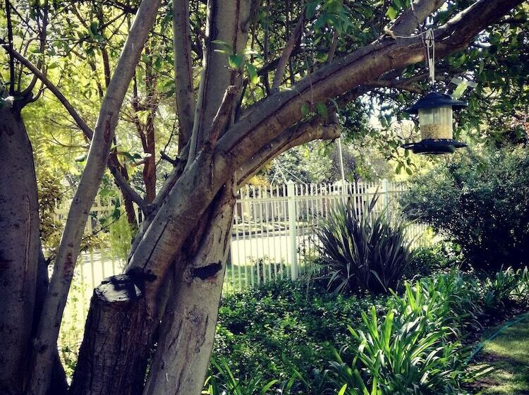 فندق Bayswater Lodge