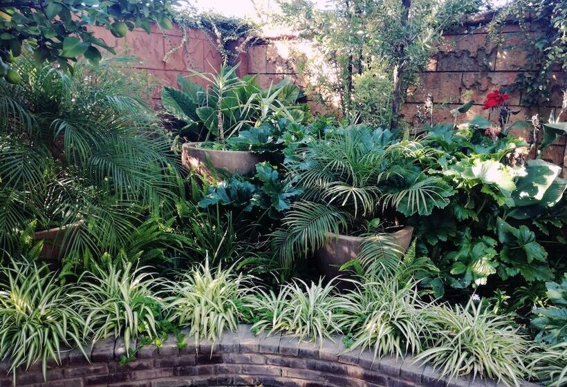 בית מלון כפרי Bayswater Lodge