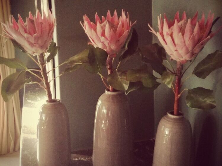 ホテル Bayswater Lodge