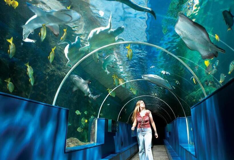 فندق Britannia  Bournemouth