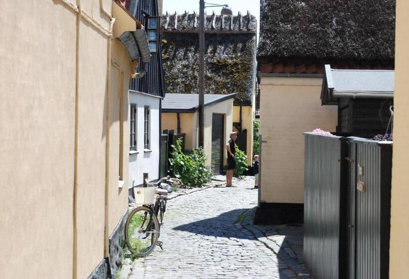 فندق Copenhagen Airport