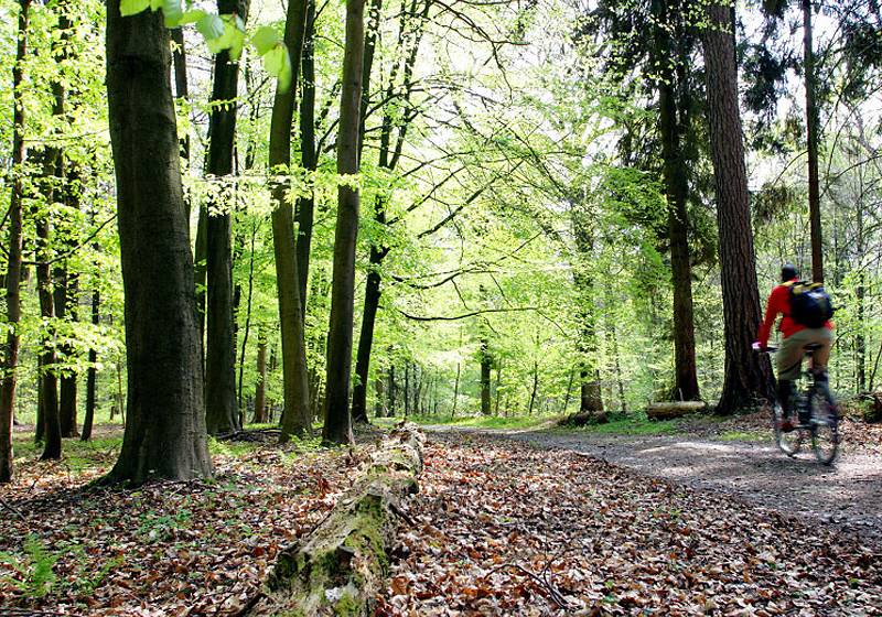 فندق Dolce La Hulpe Brussels