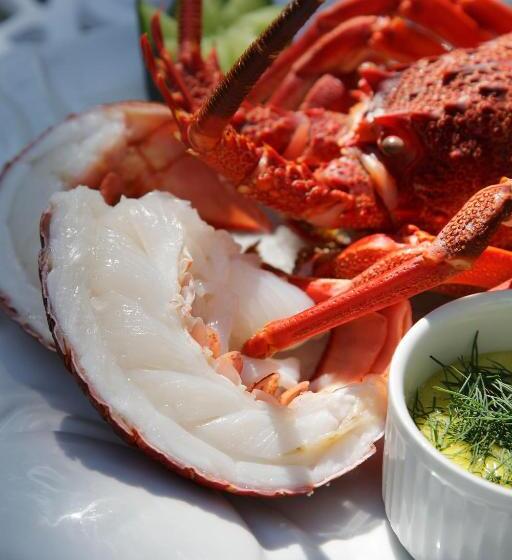 هتل Falcons View Manor