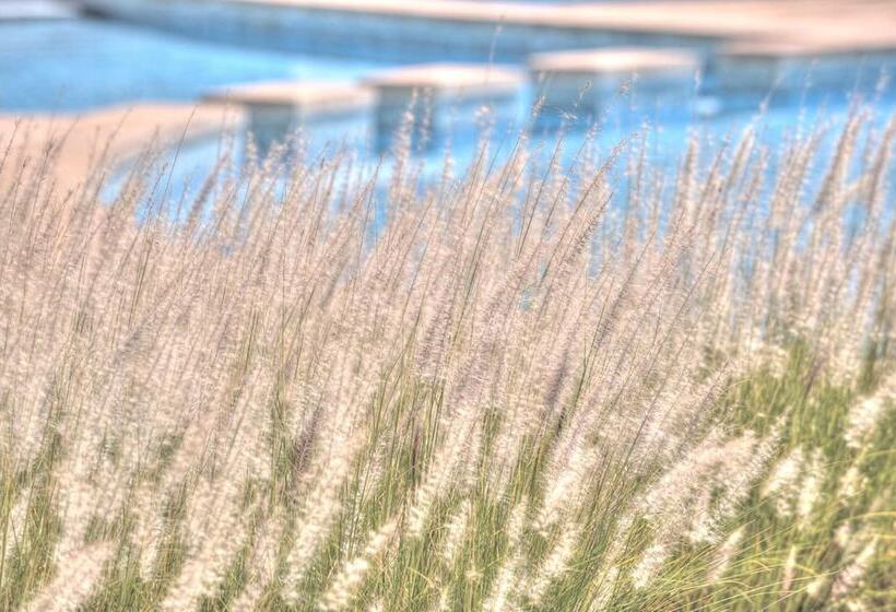 Отель Farah Khouribga