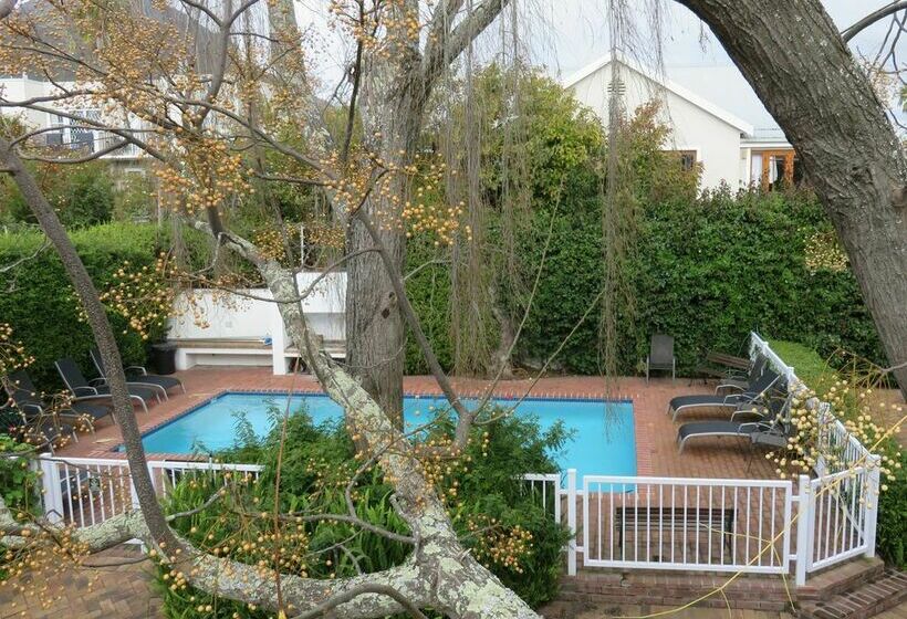 בית מלון כפרי Fynbos Villa Guest House