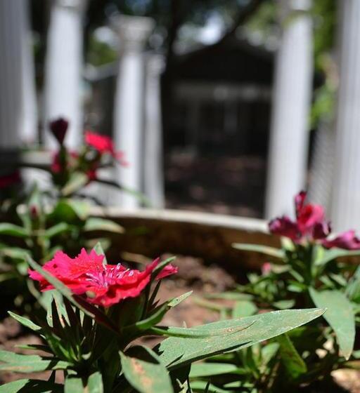 ホテル Hobbit Boutique