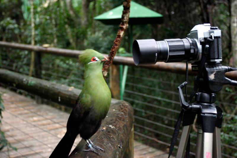 酒店 Hog Hollow Country Lodge