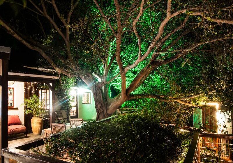 酒店 Hog Hollow Country Lodge