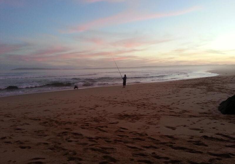 酒店 Hog Hollow Country Lodge