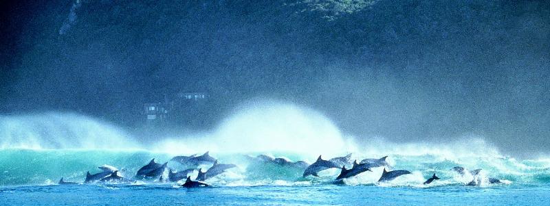 酒店 Hog Hollow Country Lodge