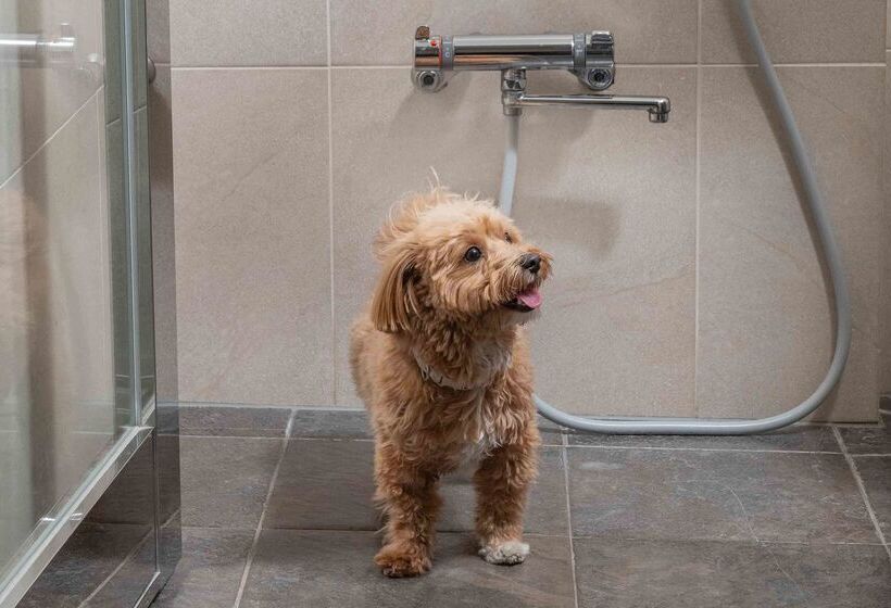 فندق Hyatt Regency Hakone Resort And Spa