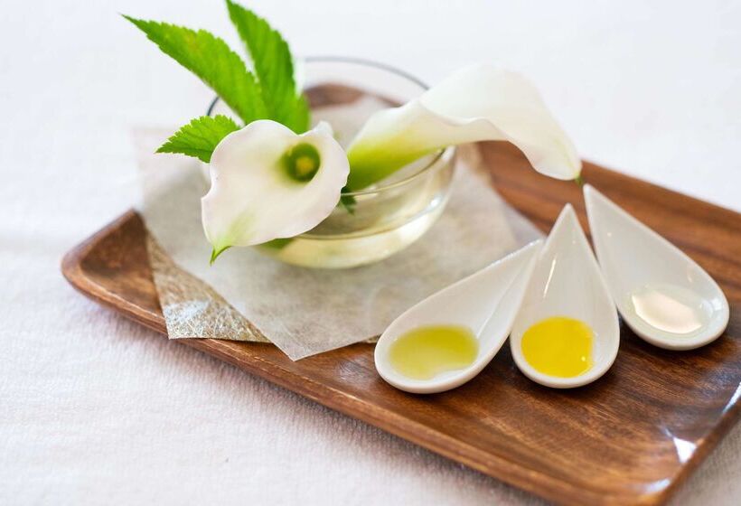 فندق Hyatt Regency Hakone Resort And Spa