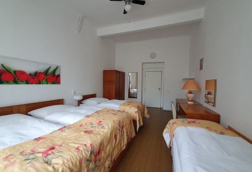 هتل Pension Jana   Domov Mládeže