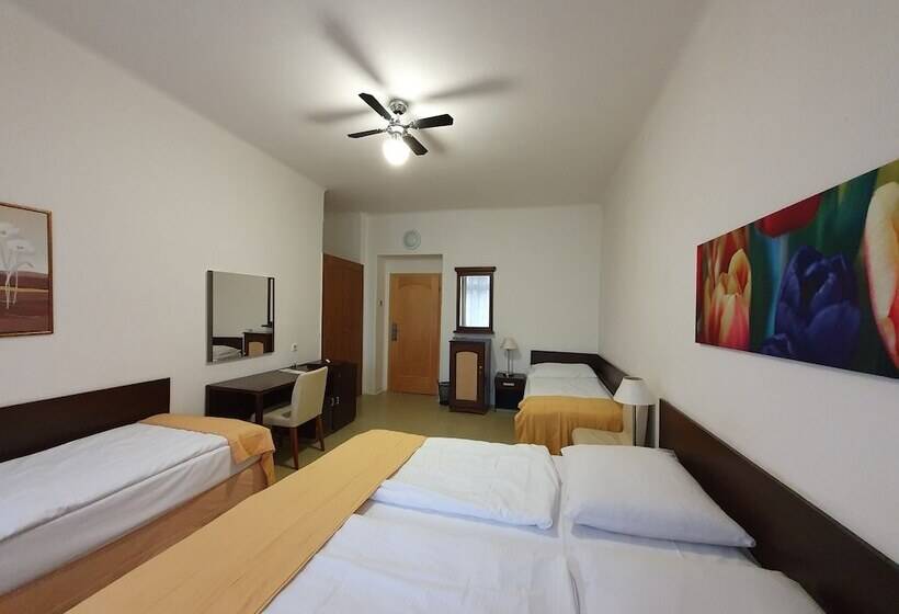 هتل Pension Jana   Domov Mládeže