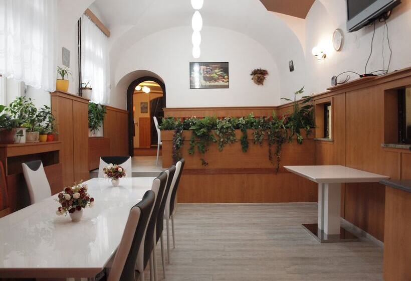 هتل Pension Jana   Domov Mládeže