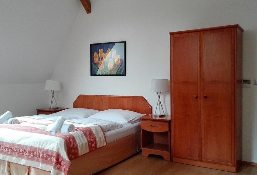 هتل Pension Jana   Domov Mládeže