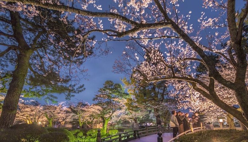 فندق Kanazawa Tokyu