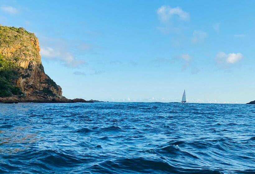 Отель Kanonkop House