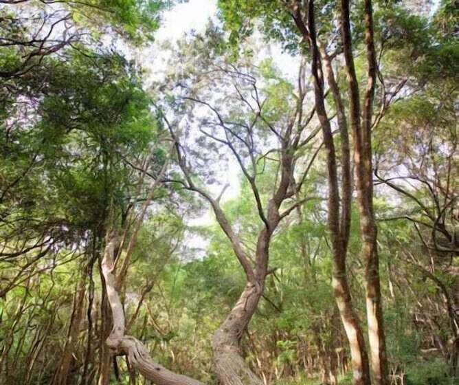 Отель Kanonkop House