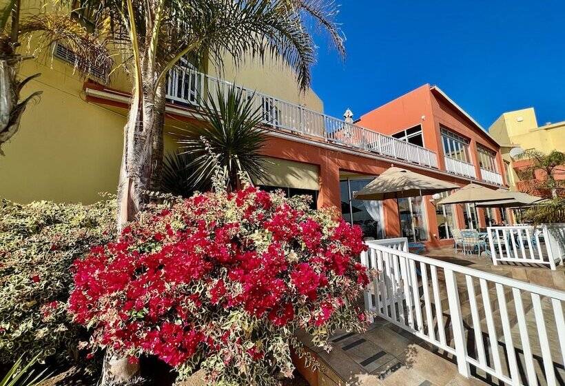 酒店 Luderitz Nest