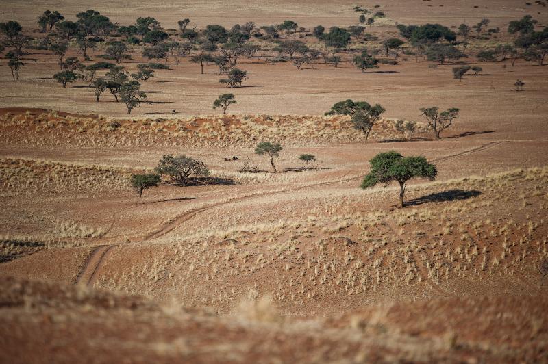 호텔 Namib Desert Lodge
