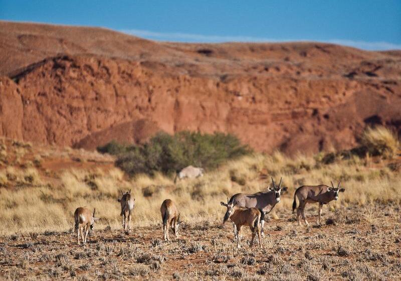 호텔 Namib Desert Lodge