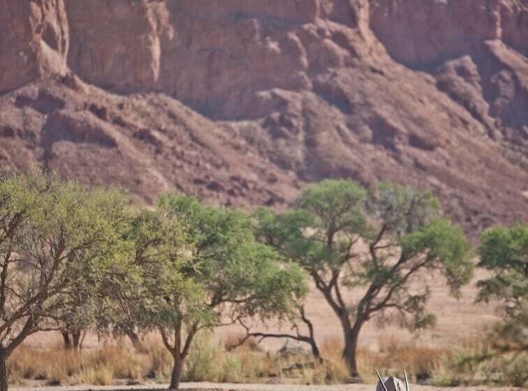 호텔 Namib Desert Lodge
