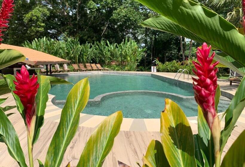 בית מלון כפרי Natural Lodge Cano Negro