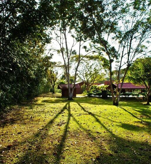 בית מלון כפרי Natural Lodge Cano Negro