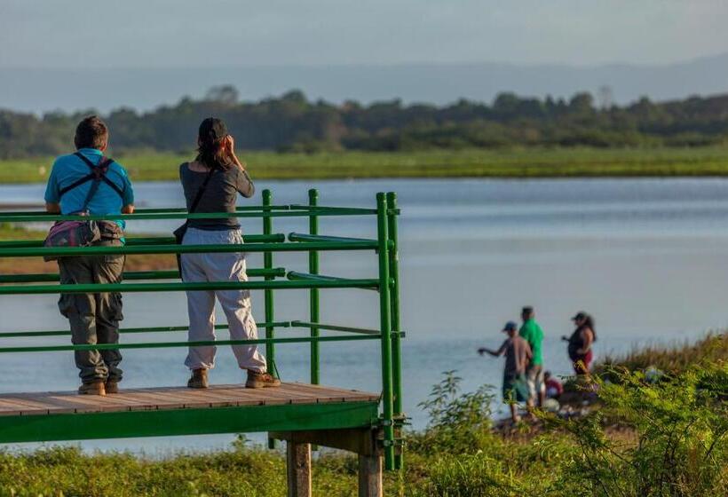 בית מלון כפרי Natural Lodge Cano Negro