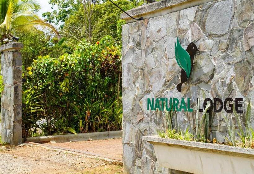 בית מלון כפרי Natural Lodge Cano Negro