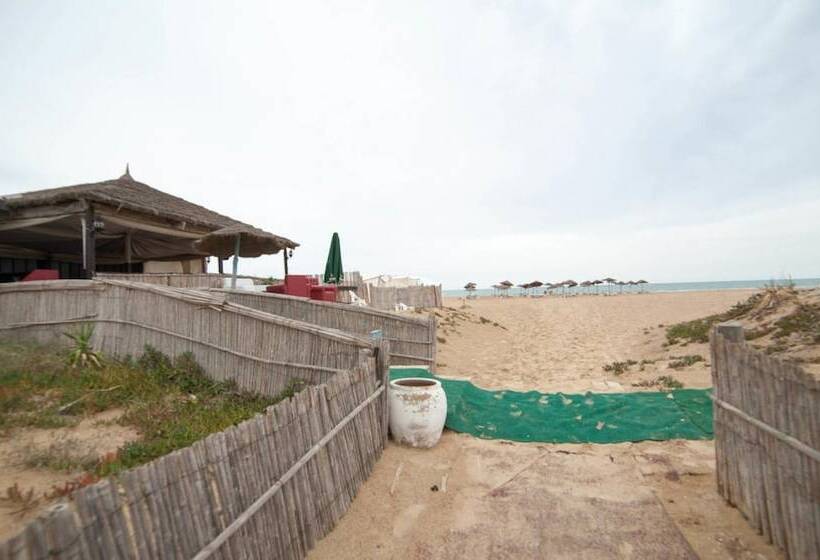 هتل Phebus Gammarth