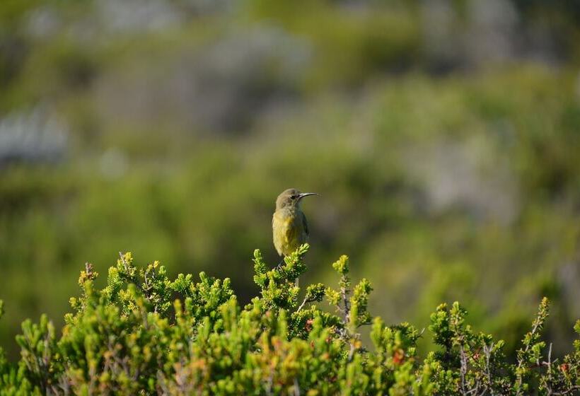 호텔 Point B Guest House  Sustainable Solar Energy