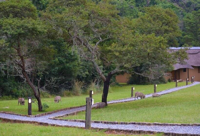 בית מלון כפרי Premier Resort Mpongo Private Game Reserve