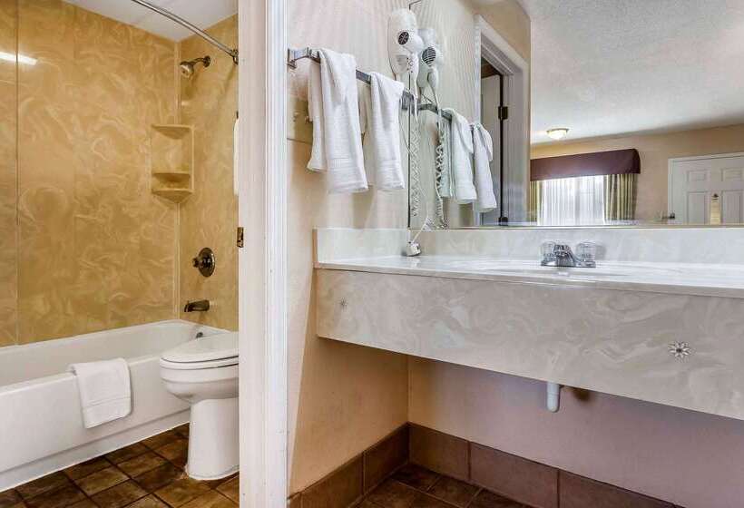 בית מלון כפרי Rodeway Inn