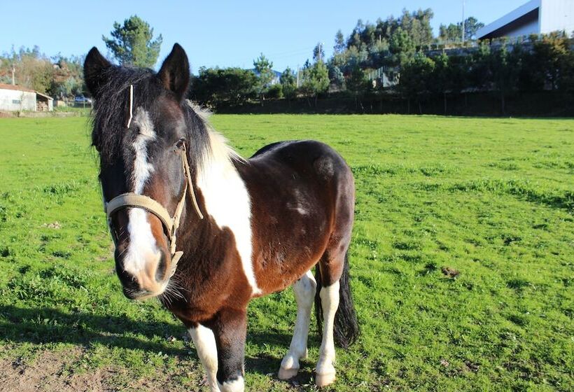 Сельский отель Rural Casa De São Pedro
