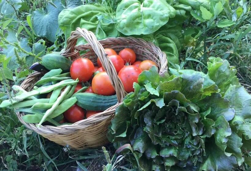 酒店 Rural Spa Resguard Dels Vents