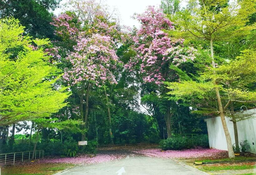 Sabah Hotel Sandakan