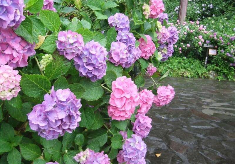 호텔 Shimoda Yamatokan